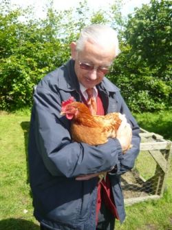 Calm on the Farm - cuddle a chicken Gallery