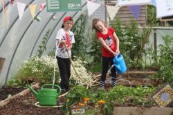 Watering the polytunnels Gallery