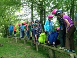 Balance Beam for low ropes Gallery