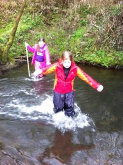 Wading in the stream Gallery