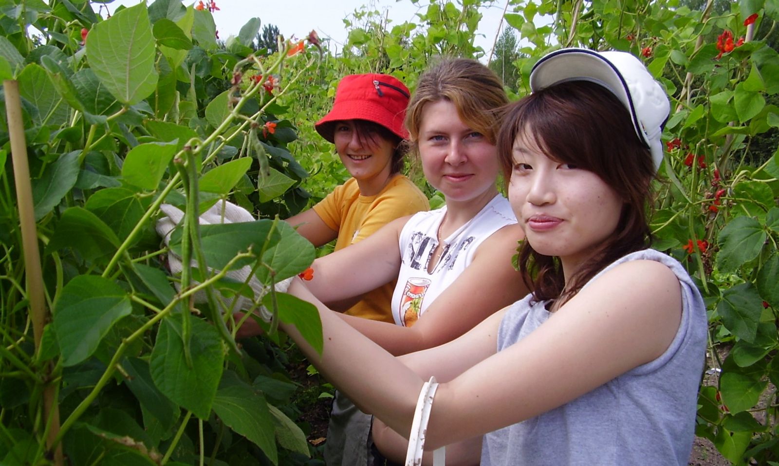 Volunteers at Magdalen Farm