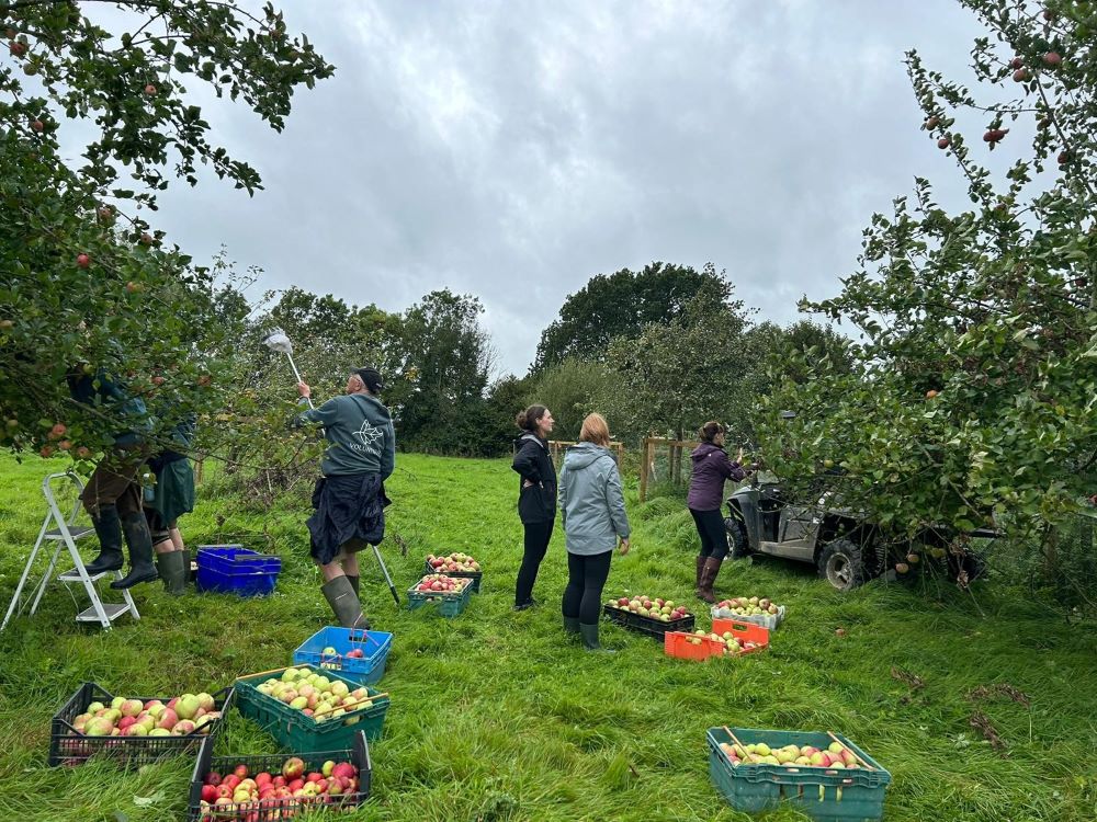 Volunteering opportunities at Magdalen Farm